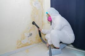 Why You Should Choose Our Mold Remediation Services in Roseland, LA